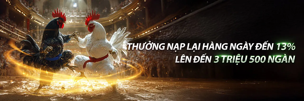 Đấu gà kịch tính tại rg8369 casino